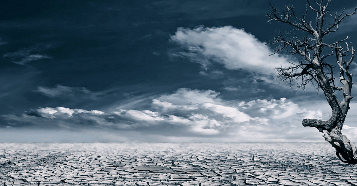 Thinking of submitting a drought-related insurance claim? Think again