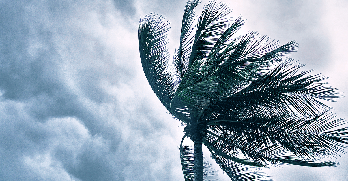 Storm Alert: Eloise triggers severe weather warning for South Africa