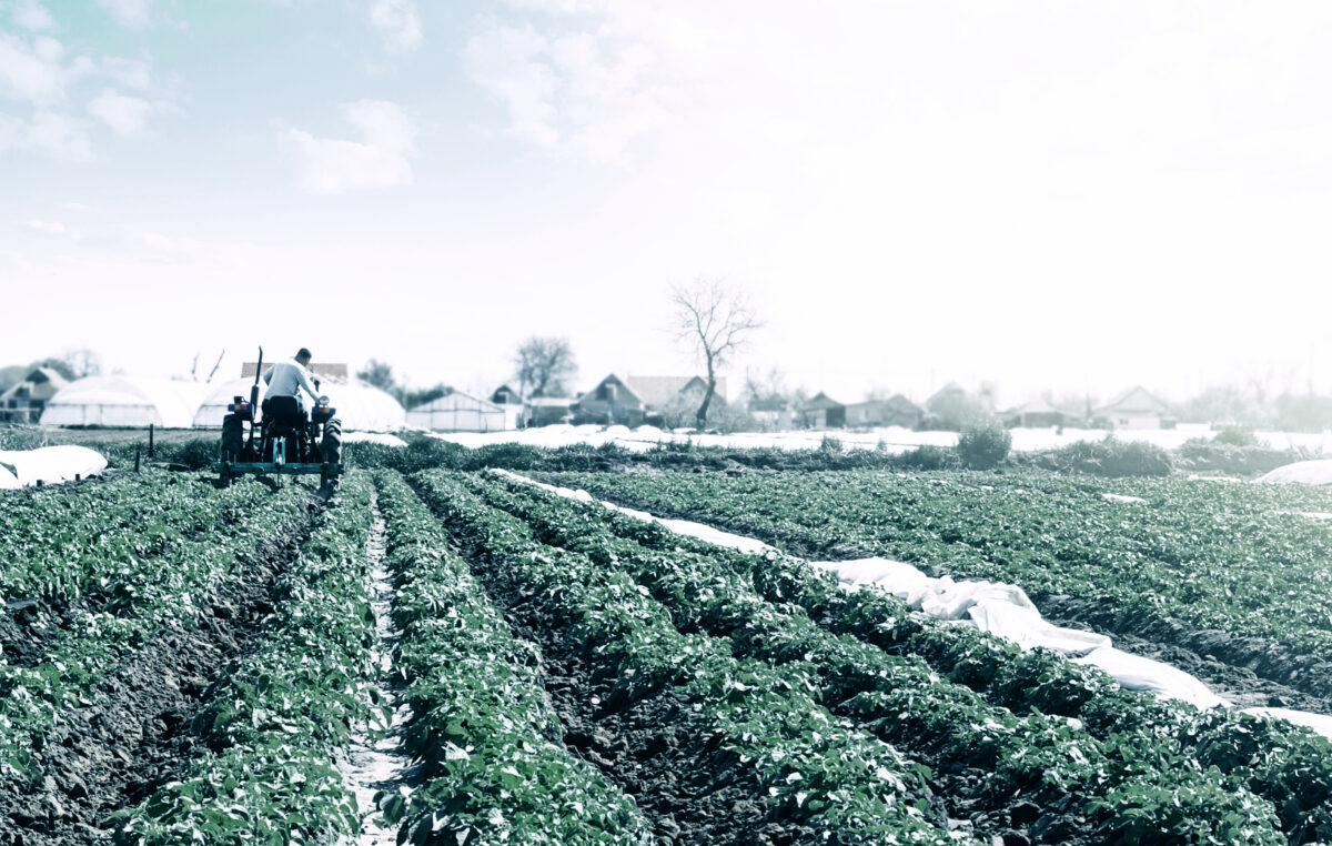 A farmer’s guide to agricultural insurance